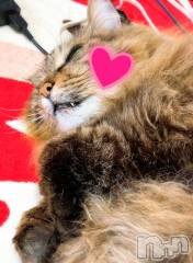 上越デリヘル上越最安値！奥様Deli急便(ジョウエツサイヤスネ！オクサマデリキュウビン) 短期不定期レア出勤！ ゆうみ(35)の6月10日写メブログ「こんばんは♡」