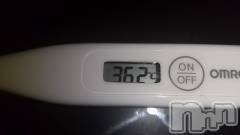 上越デリヘル上越最安値！奥様Deli急便(ジョウエツサイヤスネ！オクサマデリキュウビン) 短期不定期レア出勤！ ゆうみ(35)の5月16日写メブログ「おはようございます♡」