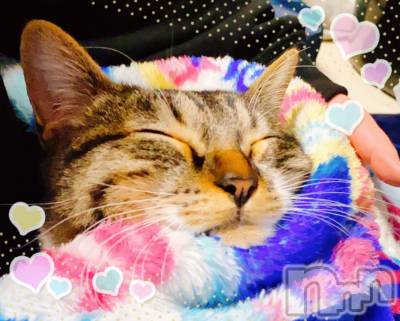 上越デリヘル 上越最安値！奥様Deli急便(ジョウエツサイヤスネ！オクサマデリキュウビン) 短期不定期レア出勤！ ゆうみ(35)の3月7日写メブログ「にゃ」