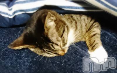 上越デリヘル 上越最安値！奥様Deli急便(ジョウエツサイヤスネ！オクサマデリキュウビン) 短期不定期レア出勤！ ゆうみ(35)の3月14日写メブログ「かわいい」