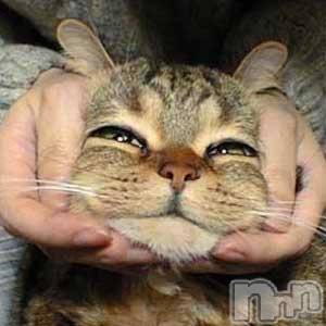 上越デリヘル 上越最安値！奥様Deli急便(ジョウエツサイヤスネ！オクサマデリキュウビン) 短期不定期レア出勤！ ゆうみ(35)の4月25日写メブログ「拾い画ですが」