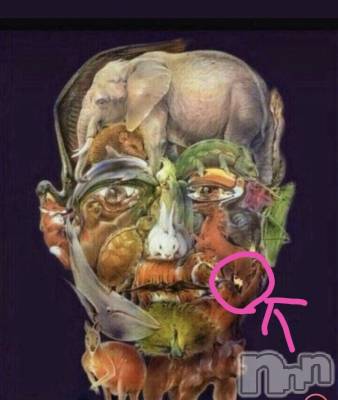 上越デリヘル 上越最安値！奥様Deli急便(ジョウエツサイヤスネ！オクサマデリキュウビン) 短期不定期レア出勤！ ゆうみ(35)の5月25日写メブログ「クイズの答え！」