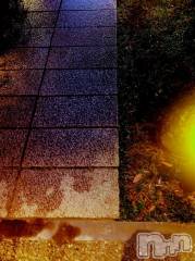 新潟デリヘル人妻不倫処　桃屋　新潟店(ヒトヅマフリンドコロモモヤ) ももか贅沢ミルク(39)の1月7日写メブログ「延期♡」