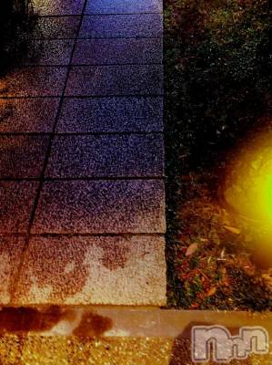 新潟デリヘル 人妻不倫処　桃屋　新潟店(ヒトヅマフリンドコロモモヤ) ももか贅沢ミルク(39)の1月7日写メブログ「延期♡」