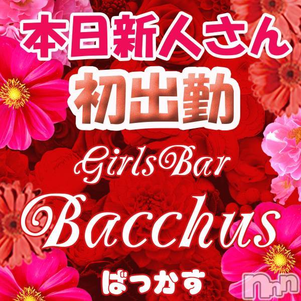 ����������ʥå��������륺�С�Girls Bar Bacchus�������Ź(�Хå��������ޥ��ƥ�) �� 2026ǯ5��15���̥�֥����֡��������ͤ����жС���̾�жС�������~�Ķȡ�Bacchus�����������