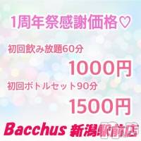 ʥå륺СGirls Bar BacchusŹ(Хåޥƥ)  2019ǯ95̥֥֡ǯ׳šBACCHUSŹ   