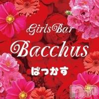 ʥå륺СGirls Bar BacchusŹ(Хåޥƥ)  2020ǯ24̥֥֥ХåŹ٤ߤȤʤޤ