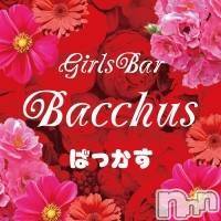 ʥå륺СGirls Bar BacchusŹ(Хåޥƥ)  2020ǯ518̥֥֡ʷŹ٤ȤʤޤBacchus