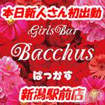 ʥå륺СGirls Bar BacchusŹ(Хåޥƥ)  2020ǯ64̥֥֡ͤжСͳŵᤤӤ