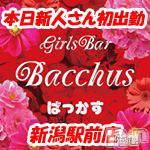 ʥå륺СGirls Bar BacchusŹ(Хåޥƥ)  2020ǯ613̥֥֡ͤ̾жФǤ