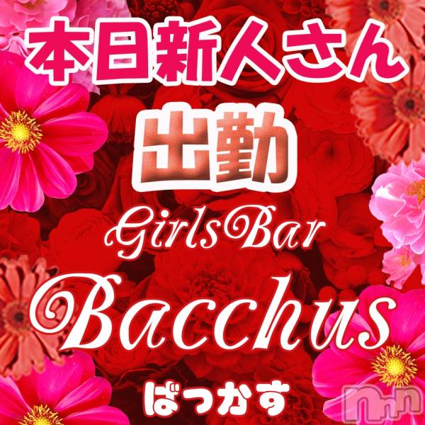 ʥå륺СGirls Bar BacchusŹ(Хåޥƥ)  2020ǯ72̥֥֡ͤжС̾жСBACCHUS