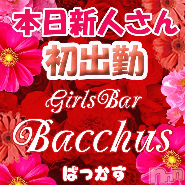 ʥå륺СGirls Bar BacchusŹ(Хåޥƥ)  2020ǯ713̥֥֡ͤжС̾жСBACCHUS