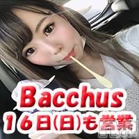 ʥå륺СGirls Bar BacchusŹ(Хåޥƥ)  2020ǯ816̥֥֡̾жСк˶Bacchus