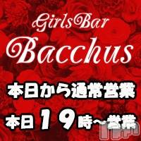 ʥå륺СGirls Bar BacchusŹ(Хåޥƥ)  2021ǯ917̥֥֡̾Ķȡ̾жС~ĶȡBacchus