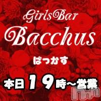 ʥå륺СGirls Bar BacchusŹ(Хåޥƥ)  2021ǯ118̥֥֡̾жС~ĶȡBacchus