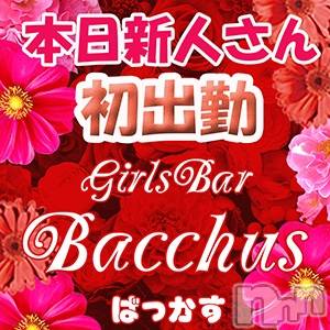 ʥå륺СGirls Bar BacchusŹ(Хåޥƥ)  2022ǯ114̥֥֡ͤжС̾жС~ĶȡBacchus