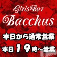 ʥå륺СGirls Bar BacchusŹ(Хåޥƥ)  2022ǯ37̥֥֡̾ĶȡͤжС̾жС~ĶȡBacchus
