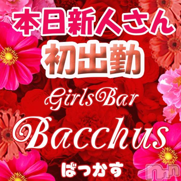ʥå륺СGirls Bar BacchusŹ(Хåޥƥ)  2022ǯ329̥֥֡ͤжС̾жС~ĶȡBacchus