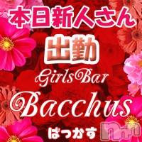 ʥå륺СGirls Bar BacchusŹ(Хåޥƥ)  2022ǯ79̥֥֡ͤжС̾жС~ĶȡBacchus