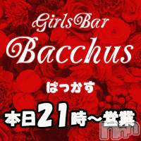 ʥå륺СGirls Bar BacchusŹ(Хåޥƥ)  2022ǯ112̥֥֡ͳ̾жС~ĶȡBacchus