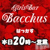 ʥå륺СGirls Bar BacchusŹ(Хåޥƥ)  2022ǯ113̥֥֡ͳ̾жС~ĶȡBacchus