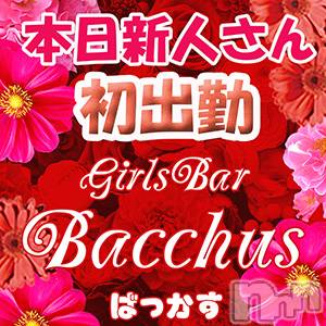 ʥå륺СGirls Bar BacchusŹ(Хåޥƥ)  2022ǯ1116̥֥֡ͤжСͳ̾жС~ĶȡХå