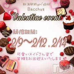 ʥå륺СGirls Bar BacchusŹ(Хåޥƥ)  2024ǯ29̥֥֡Valentine event̾жС~Ķȡ