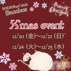 ʥå륺СGirls Bar BacchusŹ(Хåޥƥ)  2024ǯ1220̥֥Xmas٥ȡ̾жС~ĶȡBacchus