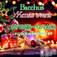 Girls Bar Bacchus�������Ź ��Bacchus Xmas event��