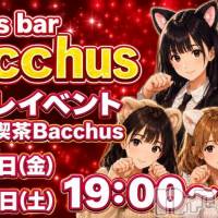 Girls Bar Bacchus�������Ź ��Bacchus���˥ޥ륳���ץ쥤�٥�ȳ��š�