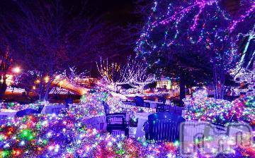 新潟デリヘル五十路マダム新潟店(カサブランカグループ)(イソジマダムニイガタテン) 松宮桜子(52)の11月26日写メブログ「イルミネーション♪」