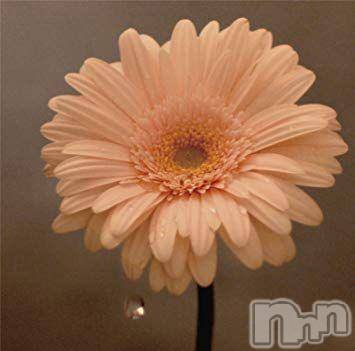 新潟デリヘル五十路マダム新潟店(カサブランカグループ)(イソジマダムニイガタテン) 松宮桜子(52)の8月12日写メブログ「[お題]from:どんだけ好きやねーんさん」