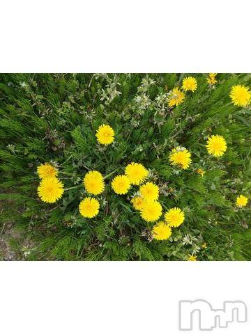 新潟デリヘル五十路マダム新潟店(カサブランカグループ)(イソジマダムニイガタテン) 松宮桜子(52)の4月13日写メブログ「出勤リクエスト募集中?」