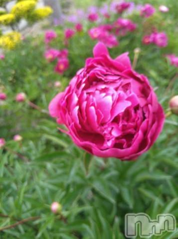 新潟デリヘル五十路マダム新潟店(カサブランカグループ)(イソジマダムニイガタテン) 松宮桜子(52)の6月28日写メブログ「泣いたり、笑ったり?」