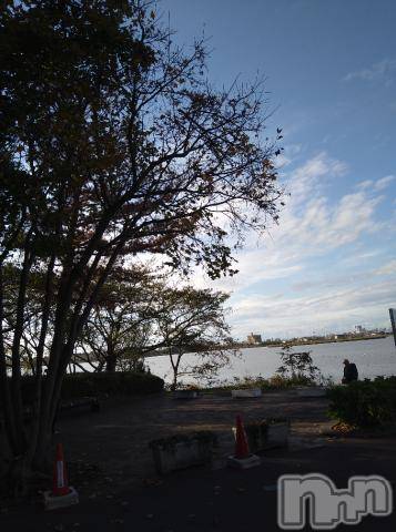 新潟デリヘル五十路マダム新潟店(カサブランカグループ)(イソジマダムニイガタテン) 松宮桜子(52)の11月15日写メブログ「外撮影に行って来ましたー💓」