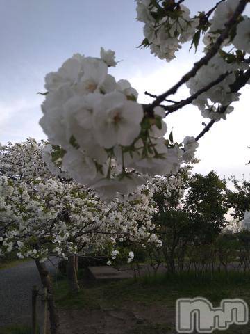 新潟デリヘル五十路マダム新潟店(カサブランカグループ)(イソジマダムニイガタテン) 松宮桜子(52)の4月15日写メブログ「お休みを大切に過ごさせていただきました♡」