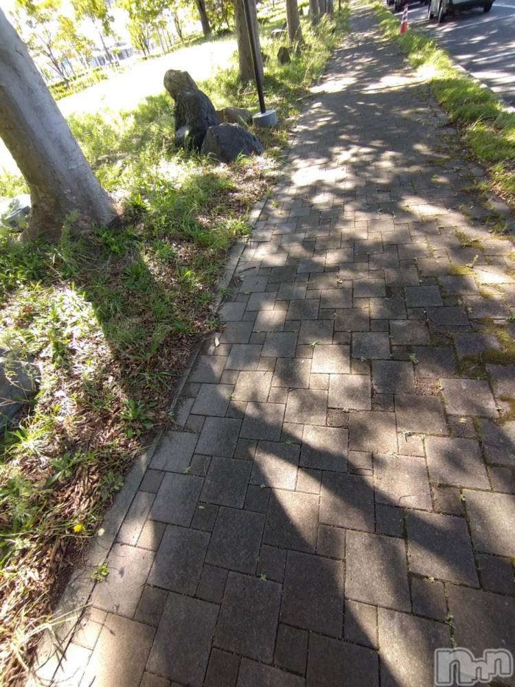 新潟デリヘル五十路マダム新潟店(カサブランカグループ)(イソジマダムニイガタテン) 松宮桜子(52)の10月24日写メブログ「さくらこ🌸です」