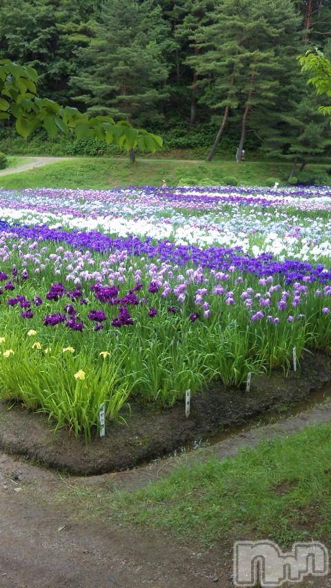 新潟デリヘル五十路マダム新潟店(カサブランカグループ)(イソジマダムニイガタテン) 松宮桜子(52)の6月25日写メブログ「まもなく出勤です♡」