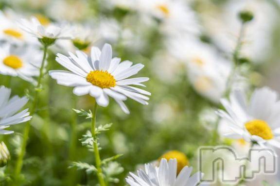 新潟デリヘル五十路マダム新潟店(カサブランカグループ)(イソジマダムニイガタテン) 松宮桜子(52)の1月21日写メブログ「すみません…」