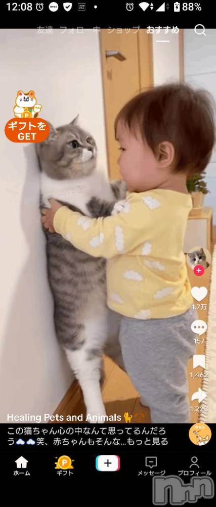 新潟デリヘル五十路マダム新潟店(カサブランカグループ)(イソジマダムニイガタテン) 松宮桜子(52)の2月22日写メブログ「猫ちゃん」