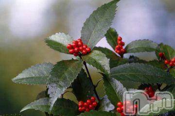 新潟デリヘル五十路マダム新潟店(カサブランカグループ)(イソジマダムニイガタテン)松宮桜子(52)の2019年1月12日写メブログ「ありがとうございます(^O^)」