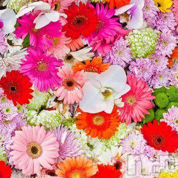 新潟デリヘル五十路マダム新潟店(カサブランカグループ)(イソジマダムニイガタテン)松宮桜子(52)の2019年9月1日写メブログ「ブルーのO様へお礼♪」