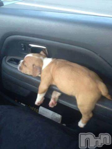 新潟デリヘル五十路マダム新潟店(カサブランカグループ)(イソジマダムニイガタテン)松宮桜子(52)の2023年1月17日写メブログ「わぁ～😲」