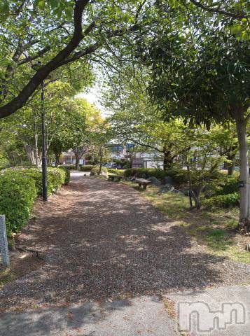 新潟デリヘル五十路マダム新潟店(カサブランカグループ)(イソジマダムニイガタテン)松宮桜子(52)の2023年4月23日写メブログ「新緑がキレイでした～🥰」