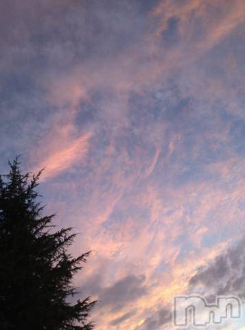 新潟デリヘル五十路マダム新潟店(カサブランカグループ)(イソジマダムニイガタテン)松宮桜子(52)の2023年8月14日写メブログ「14時～お伺いできます💓」