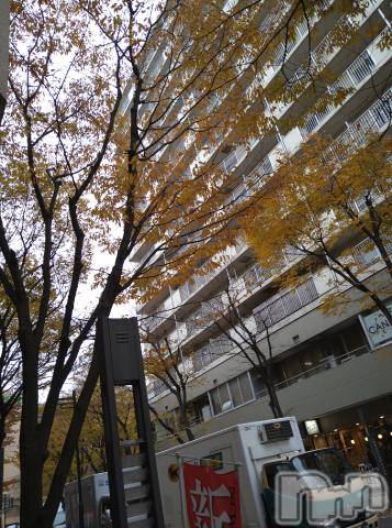 新潟デリヘル五十路マダム新潟店(カサブランカグループ)(イソジマダムニイガタテン)松宮桜子(52)の2023年12月6日写メブログ「こんにちは(*^^*)」