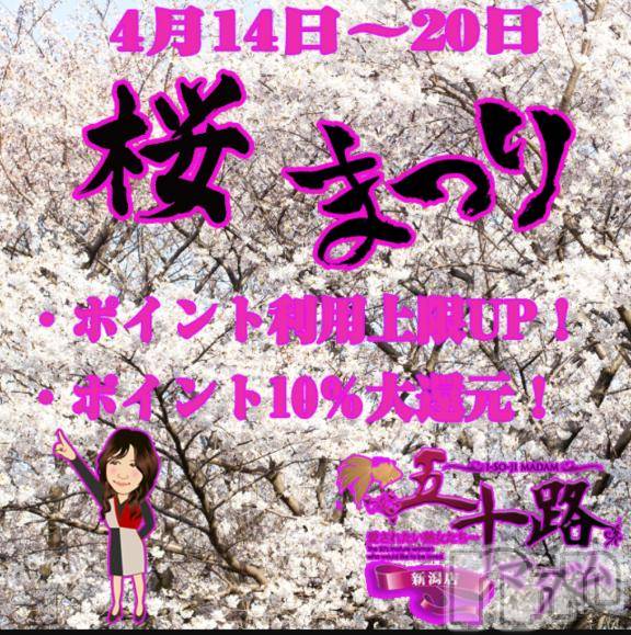 新潟デリヘル五十路マダム新潟店(カサブランカグループ)(イソジマダムニイガタテン)松宮桜子(52)の2025年4月16日写メブログ「桜まつり」
