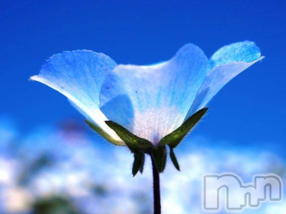 新潟デリヘル五十路マダム新潟店(カサブランカグループ)(イソジマダムニイガタテン)松宮桜子(52)の2025年5月6日写メブログ「変更です」