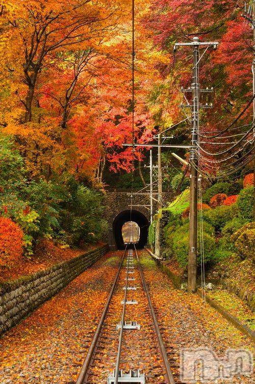 新潟デリヘル五十路マダム新潟店(カサブランカグループ)(イソジマダムニイガタテン)松宮桜子(52)の2025年10月25日写メブログ「明日…」