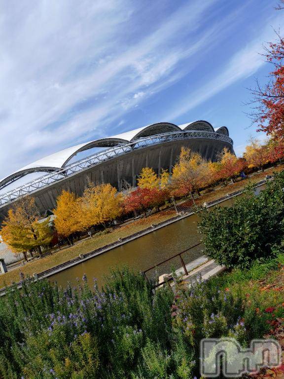新潟デリヘル五十路マダム新潟店(カサブランカグループ)(イソジマダムニイガタテン)松宮桜子(52)の2025年11月14日写メブログ「綺麗でした♪」